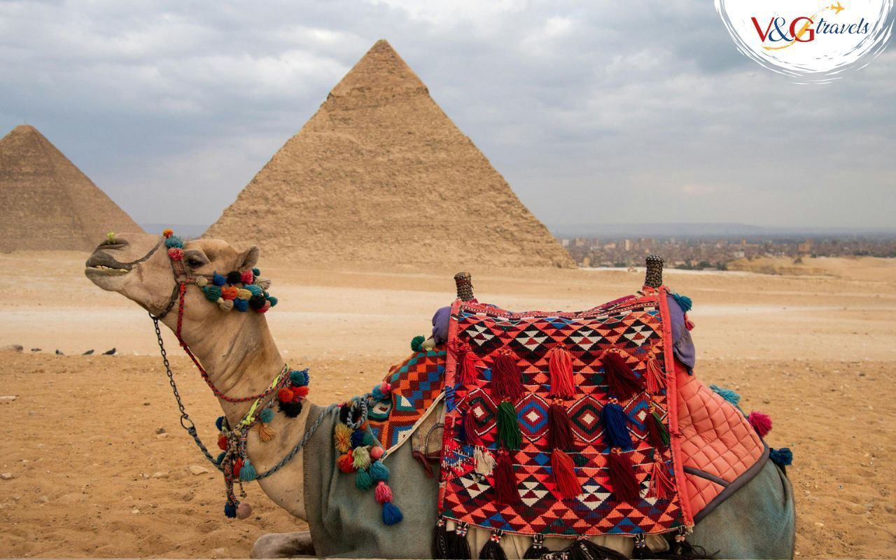 Egitto Classico - Crociera & Cairo