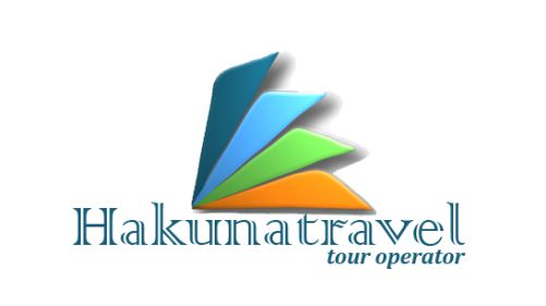 Akuna Travel
